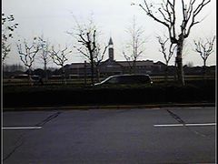 -上海德威外籍人员子女学校(浦东校区)