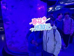 -蓬莱欧乐堡海洋极地世界