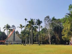 -中国科学院西双版纳热带植物园