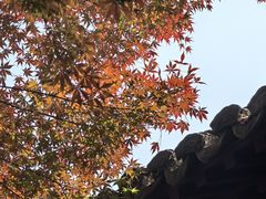 -浙江省博物馆(孤山馆区)