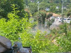 -正宗火盆自助烧烤·烤全羊·柴火鸡(龙泉山店)