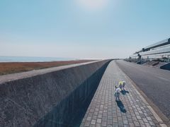 -南汇嘴观海公园