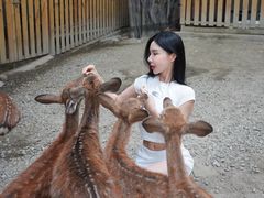 -成都欢乐谷