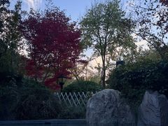 -麦积山温泉