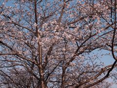 -长田漾湿地公园