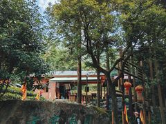 -姑婆山旅游区