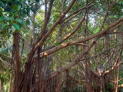 -白沙门生态公园