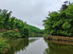 -沐川竹海旅游景区