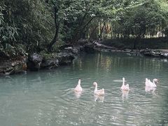 -兰亭风景区