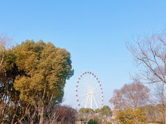 -自然谷恐龙园