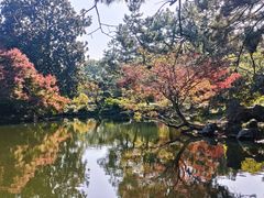 -西湖游船