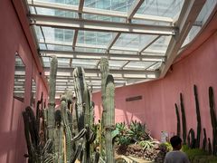 -正佳雨林生态植物园