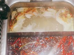 美蛙鸳鸯锅-重庆高老九火锅(文峰广场店)