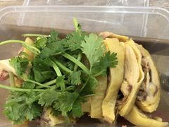 -九斤黄三黄鸡专卖店