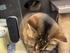 -财東财·棋牌(五角场店)