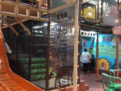 点击看大图 -卡通尼·Safari非洲探索乐园·生日会(金桥国际商业广场店)