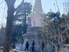 -大觉寺-停车场