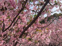 -人民公园-相亲角