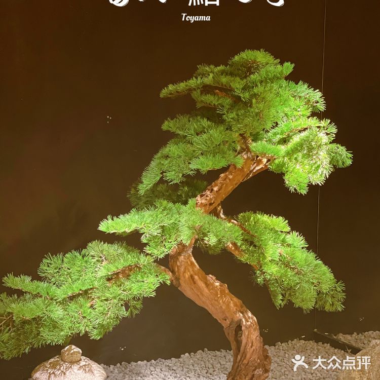 富山·将精致进行到底