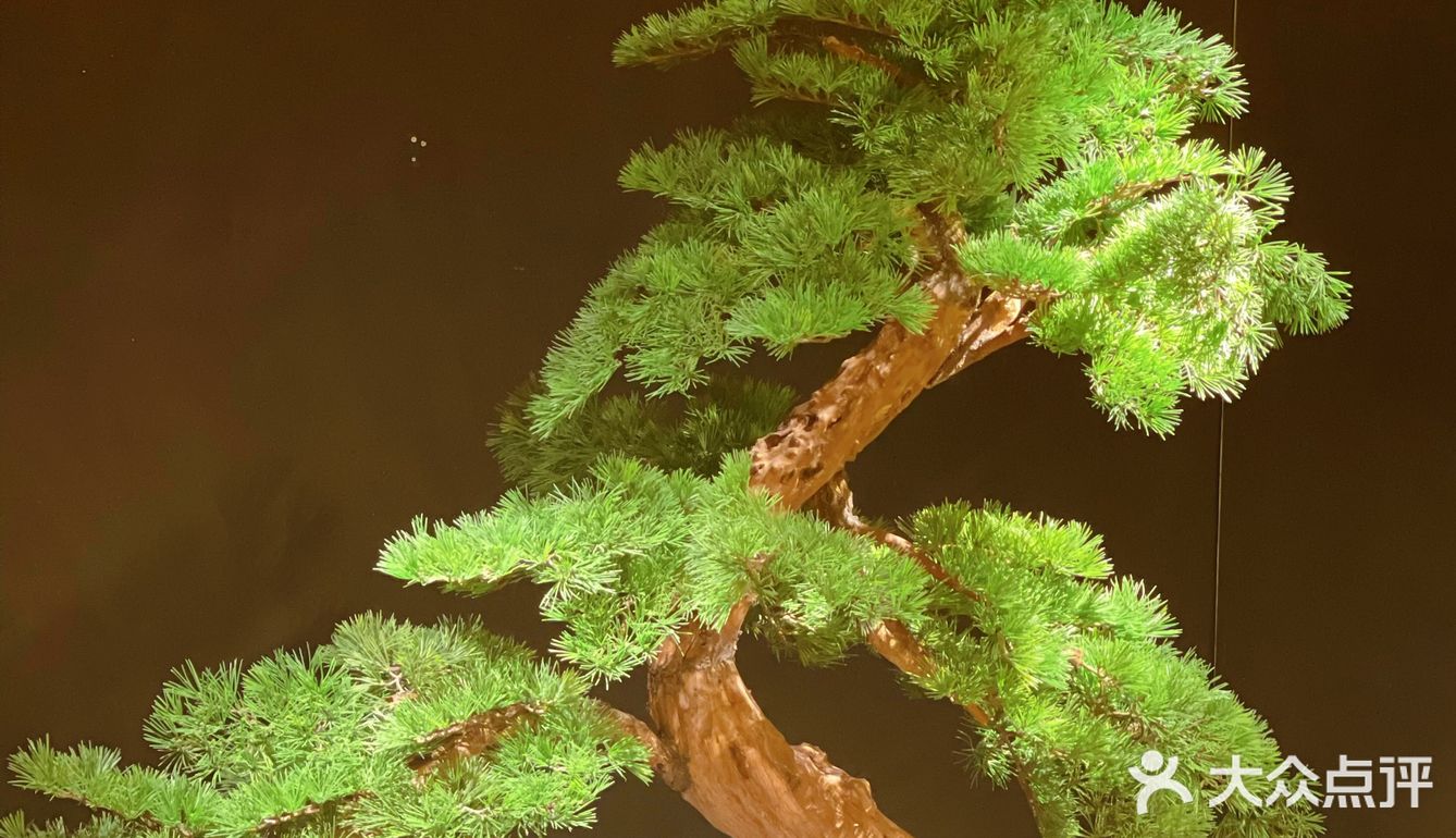 富山·将精致进行到底