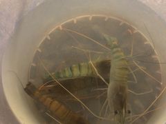 -DGE季风钓虾营地·团建·聚会