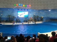 android_upload_pic-泉城欧乐堡海洋极地世界