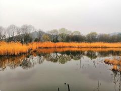 -西湖风景区-江洋畈生态公园