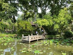 -上海醉白池公园