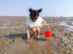 -南汇嘴观海公园