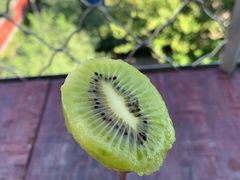 -陕西省红河谷森林公园