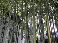-南京市民俗博物馆(甘熙故居)