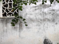 -艺圃