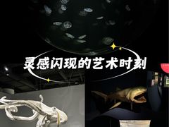 -凤凰中心