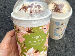 -CoCo都可(漫乐城店)