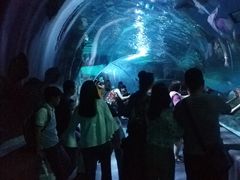 -暹罗海洋世界