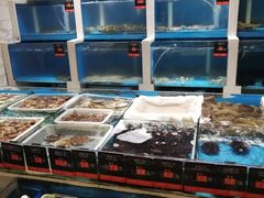 水产区-品海楼·大连海胆锅贴馆(东港店)