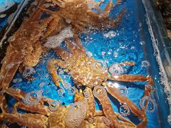 -徐记海鲜(南油永新汇店)