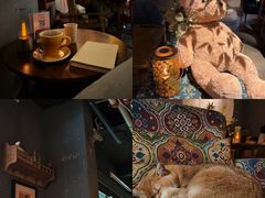 -咖法森林·咖啡  酒吧(天河店)