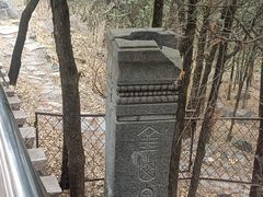 -阳台山自然风景区