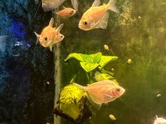 -嘉兴海底世界