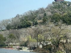 -七欣天香辣蟹火锅(南京建宁路大观天地店)