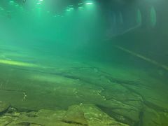-白鹤梁水下博物馆