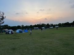 -春花秋色城市公园