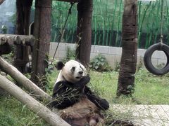 -南昌动物园
