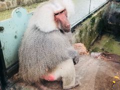 -无锡动物园·太湖欢乐园