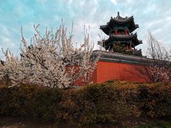 -文庙