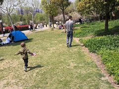 -自然谷恐龙园