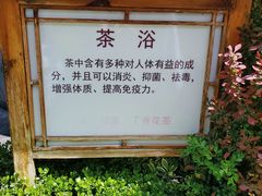 -麦积山温泉