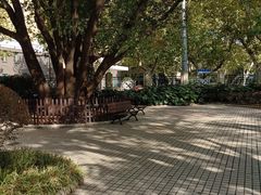 -徐家汇源景区-衡山公园