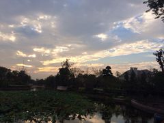 iphone_upload_pic-上海玫瑰园度假酒店